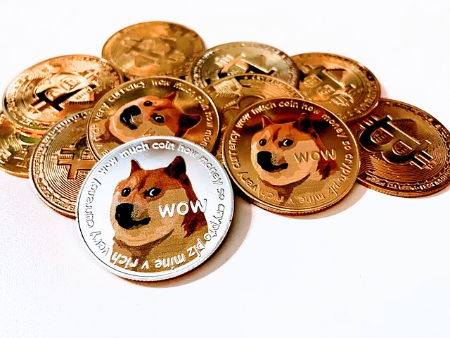 Dogecoin (DOGE)